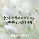 초등고학년수학지도과정 이미지
