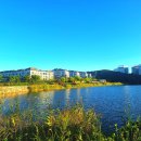 동탄호수공원 이미지