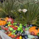 제주유리박물관 | 제주유리박물관 후기-꽃병 만들기 체험 가득