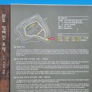 완도 고금도 지석묘군 이미지