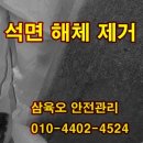 이루텍스 이미지