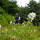 절골약수터 이미지