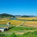 진도대교휴게소 | 여행 중 잠시 들른 진도대교 휴게소