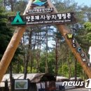 월악산국립공원 닷돈재자동차야영장 이미지