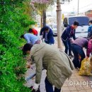 월야초등학교