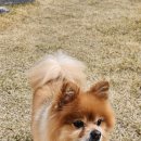 신장동물병원 이미지