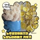 퍼진궁뎅이 | 버섯 키우기 키트 후기｜아이와 함께한 느타리버섯 &amp; 노루궁뎅이버섯 키우기 도전