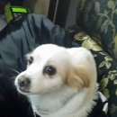 돌고래당구장 네이버블로그
