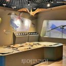 반디모아 이미지