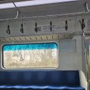 냥이조아 | 겨울 묘적사 템플스테이 후기 낋여왔어요!!!(휴식형)