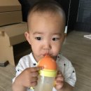 킴스팜 이미지