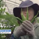 김종찬농장 이미지