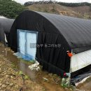 동그리농장 이미지