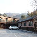 청풍황금송어 이미지