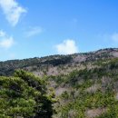 장산(萇山634m).옥녀봉(370m).중봉(381m).구곡산(九曲山434m)/부산 해운대구 이미지