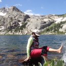 블루버드 이미지