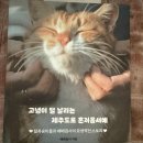 [반려동물에세이추천/후기]꼬맹이털날리는제주도로혼저옵서예