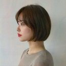 복스헤어