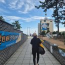신지면사무소 | 인생은 완도풀~ 남도 여행 정착지 완도 가볼 만한 곳