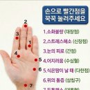 손바닥 지압점별 권장 횟수 및 시간 이미지