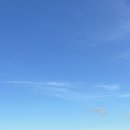 장미로38번길 이미지