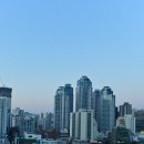 동백공원 대체 이미지