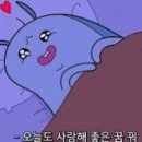 예스튜디오 - 서초구 신반포로43길 43 | 예스튜디오