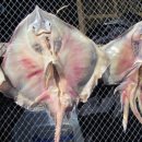 홍어1번지 이미지