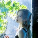 (주)네버다이엔터테인먼트 mbc 연예