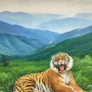 서울특별시중구청(충무아트홀스포츠센터 이미지
