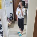 세븐일레븐 안성일죽주천점 이미지