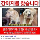 고려건강원 이미지