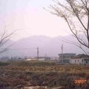 입실1리 이미지