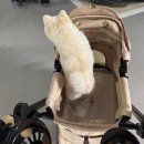 고수라김밥 만덕동문점 | 제주도는 왕복 15시간임.(찐임)