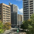 세븐일레븐 신호제일점 | 후쿠오카 하카타역 근처 도보 6분거리 에어비앤비 숙소 추천