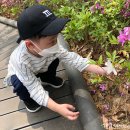 불암산 순환산책로 이미지