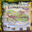 일본 오키나와 여행 6DAY(파인애플<b>파크</b>/메가돈키호테나고/와후테이/이온<b>몰</b> 나고)