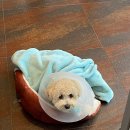 공원옆동물의료센터 이미지