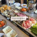 옥터 | 시흥 오이도 해물 칼국수 맛집 오십이도칼국수 오이도본점 솔직후기