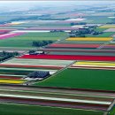 정화농장 이미지