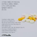 마가 이미지