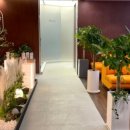 한성필하우스 건너편 이미지