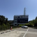 수목원화덕피자 | 제주 리보스코화덕피자 방문 후기!