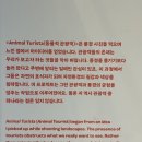 인쏘울
