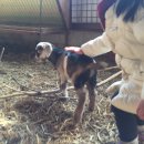 김인기농장 이미지