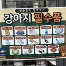 펫클럽강릉내곡점 이미지