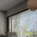 흰다정 | [속초 카페] 흰다정 솔직 후기
