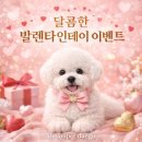 동명동물병원 | 현풍·다사·동명 강아지무료분양 문의 전 꼭 알아야 할 기준