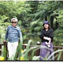 장미농원 이미지