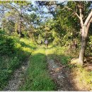 지리산구룡관광호텔 이미지